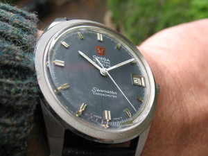 Omega f300 Seamaster Steel Grey Dial (198.0001)